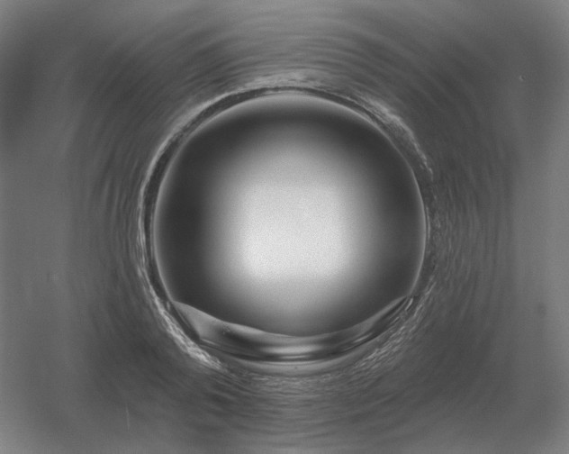 X0000056370792200509021813