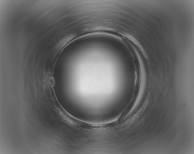 X0000056370793200509021813