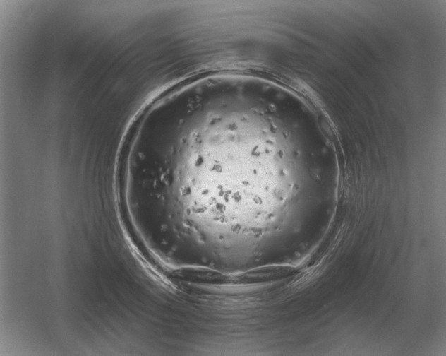 X0000056370795200509021813