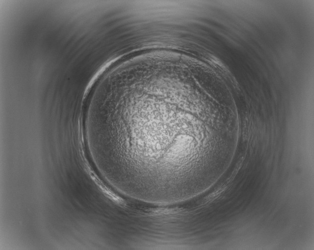 X0000056370796200509021813