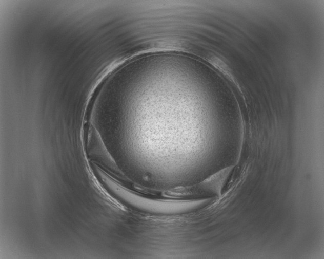 X0000056370797200509021813