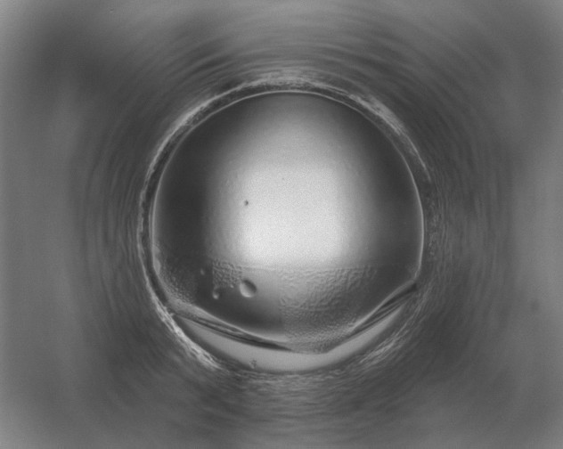 X0000056370799200509021813