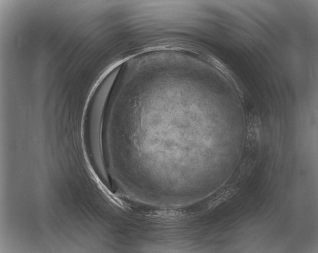 X0000056370803200509021813