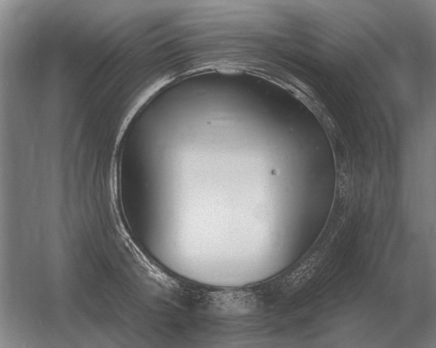 X0000056370804200509021813