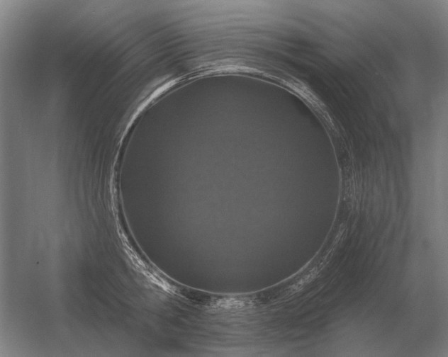 X0000056370806200509021813