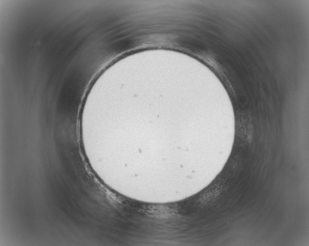 X0000056370807200509021813