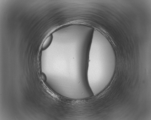 X0000056370808200509021813