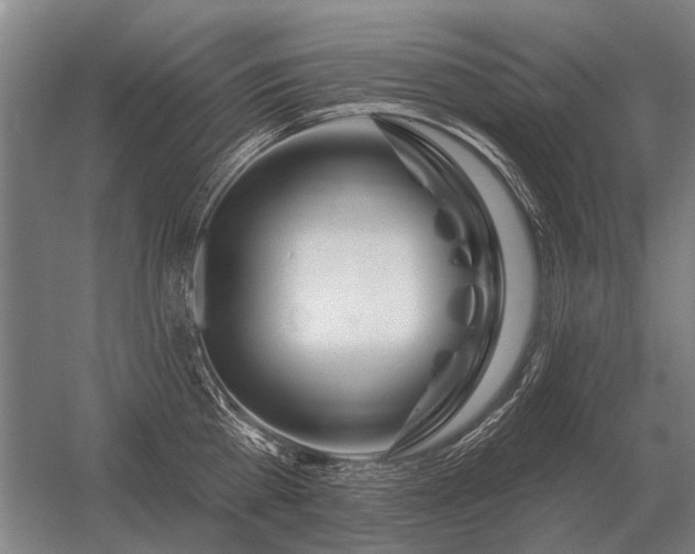 X0000056370809200509021813