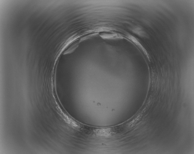 X0000056370810200509021812