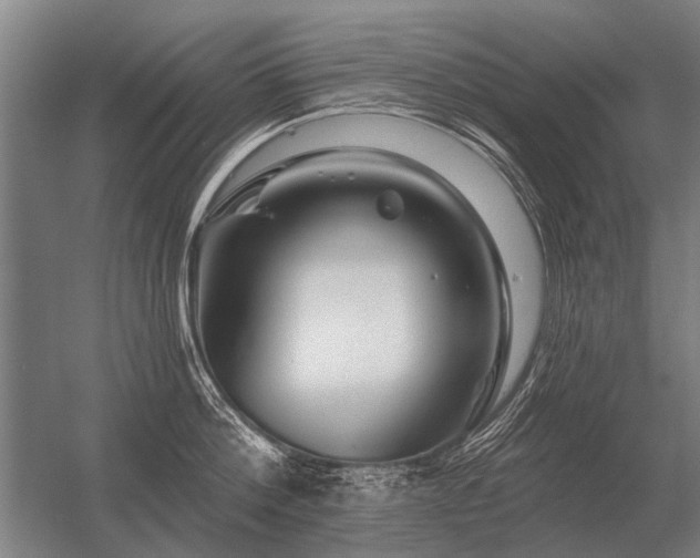 X0000056370812200509021812