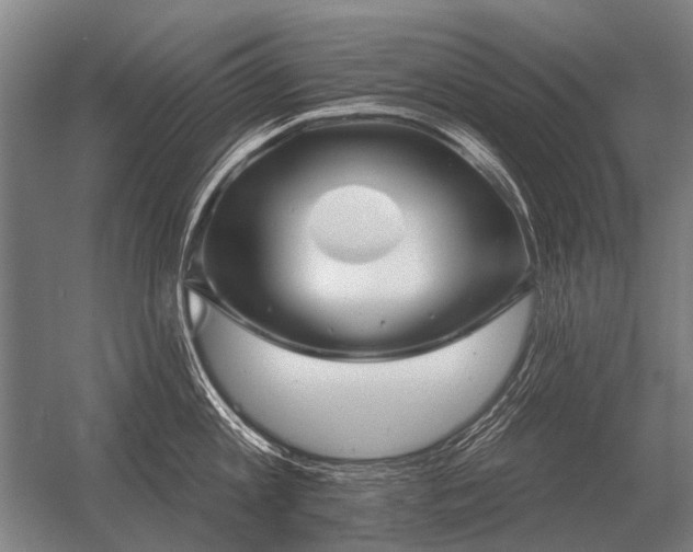 X0000056370813200509021812