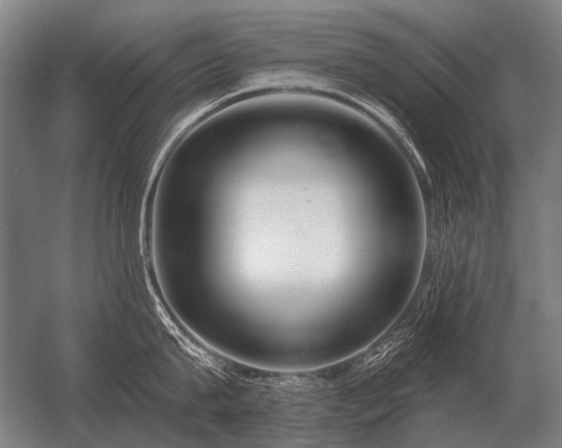 X0000056370815200509021812