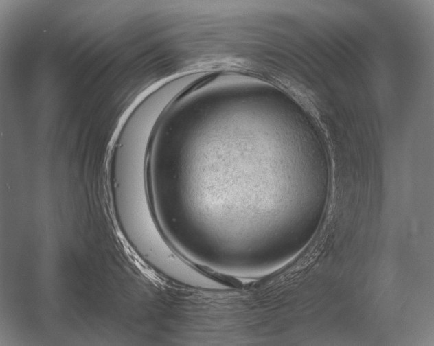 X0000056370816200509021812