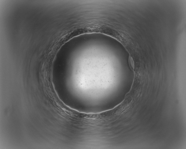 X0000056370817200509021812