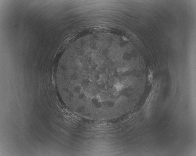 X0000056370819200509021812