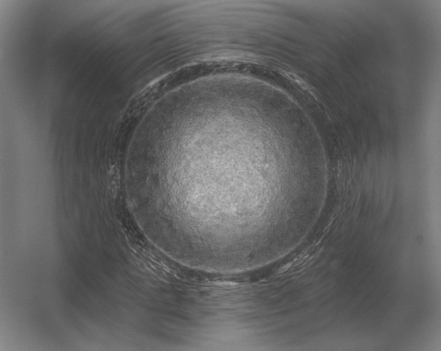 X0000056370821200509021812