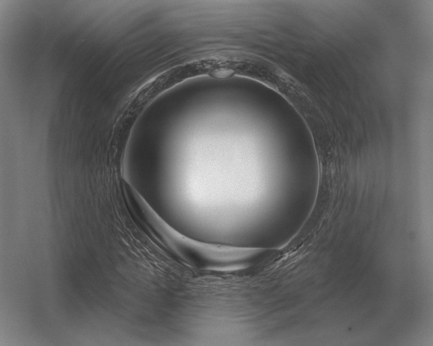 X0000056370822200509021812