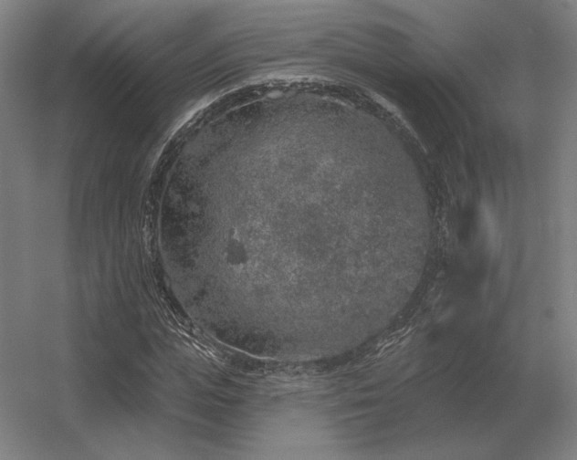 X0000056370823200509021812