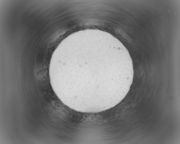 X0000056370824200509021812