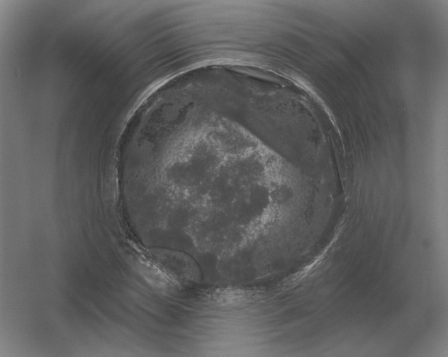 X0000056370829200509021812