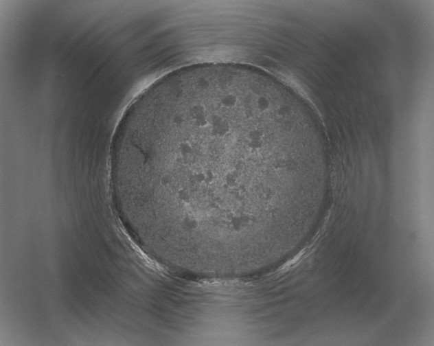 X0000056370831200509021812