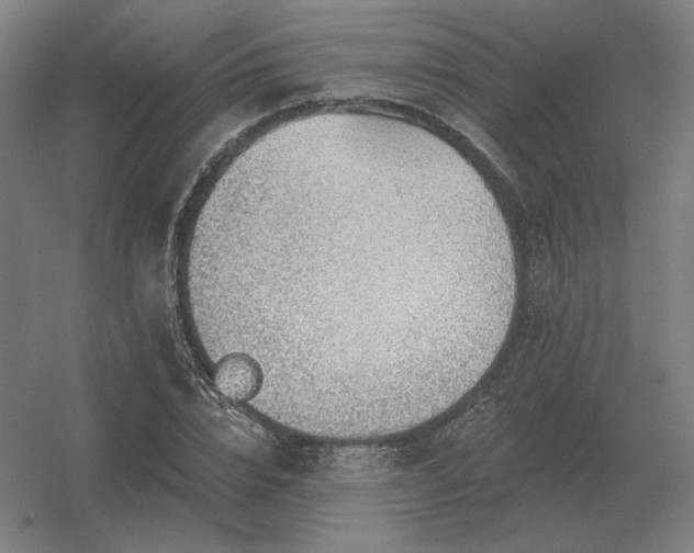 X0000056370832200509021812