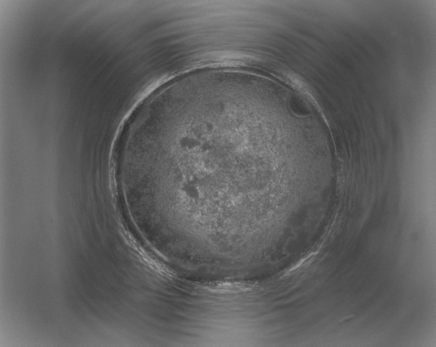 X0000056370835200509021812