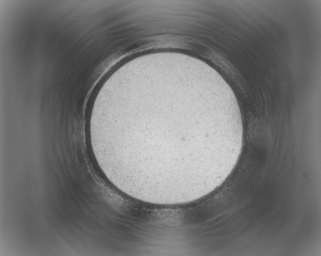 X0000056370836200509021812