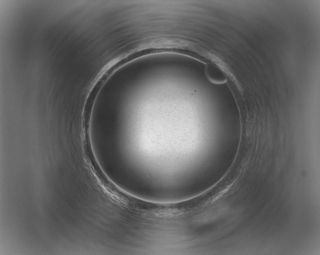 X0000056370837200509021812