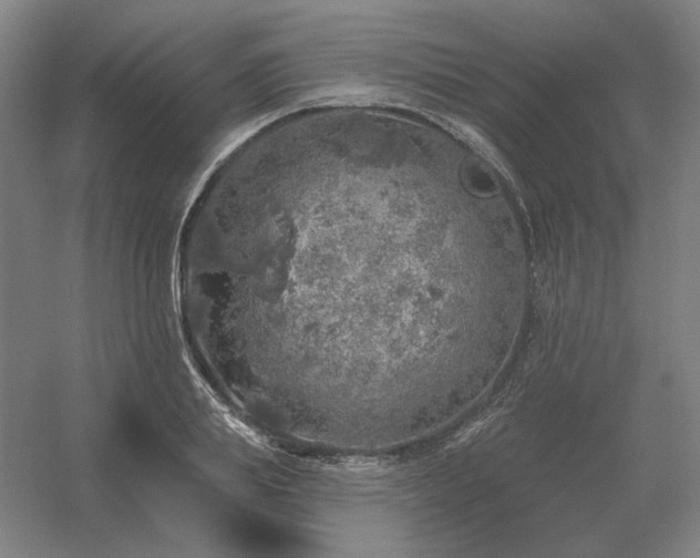 X0000056370839200509021812