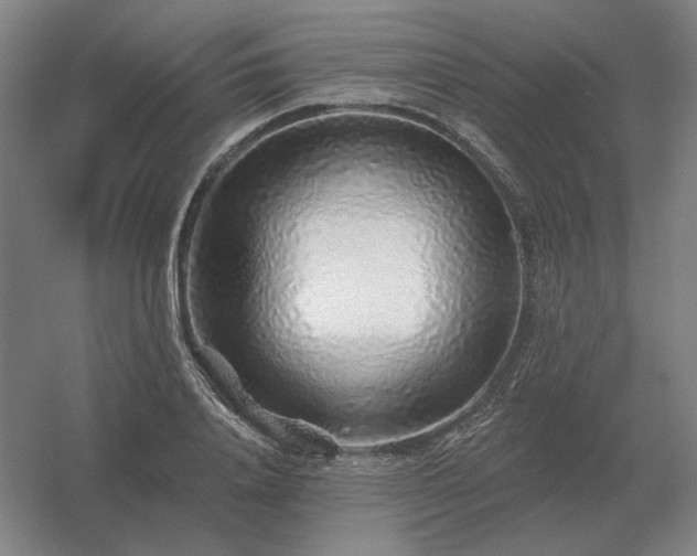 X0000056370840200509021812