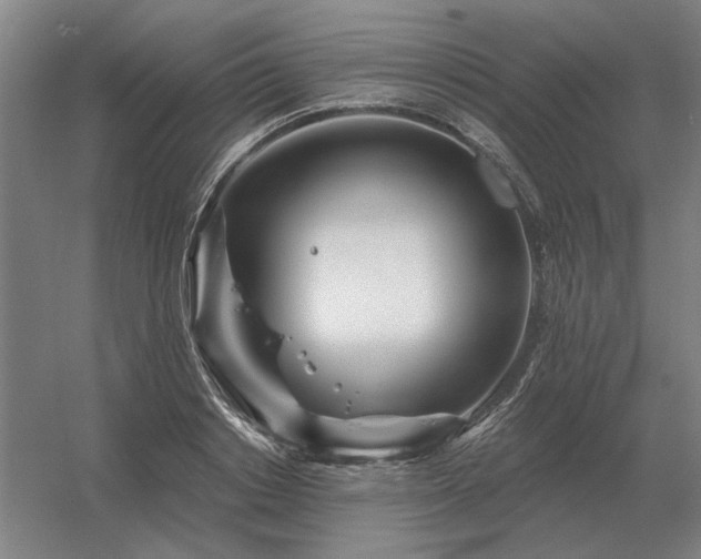 X0000056370842200509021812