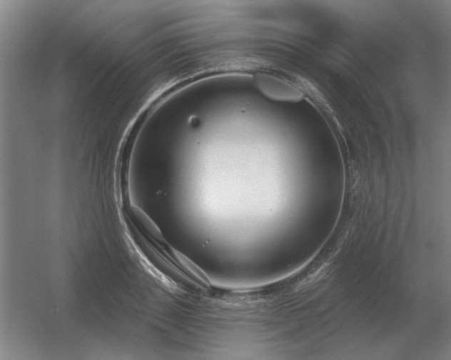 X0000056370843200509021812