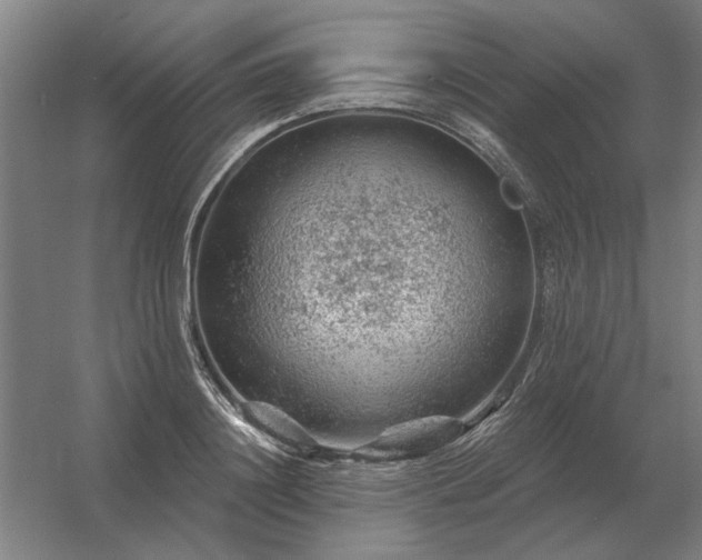 X0000056370844200509021812