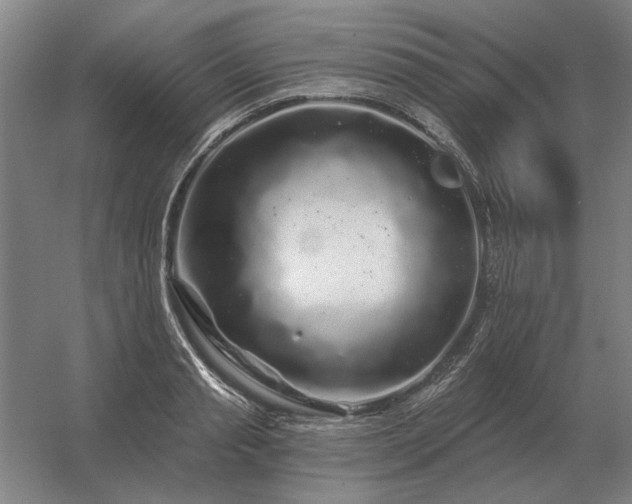 X0000056370845200509021812