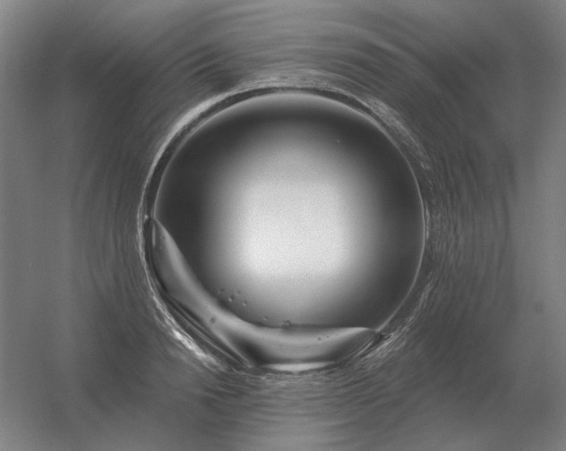 X0000056370846200509021812