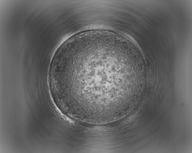 X0000056370847200509021812