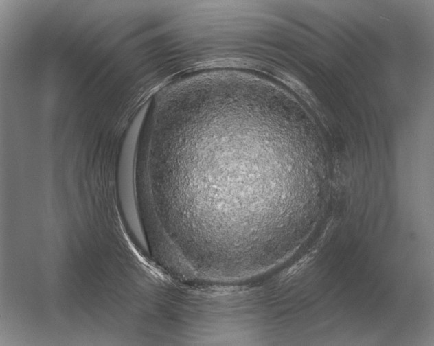 X0000056370849200509021812