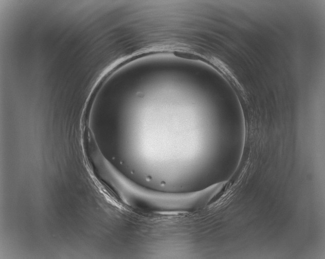 X0000056370854200509021812