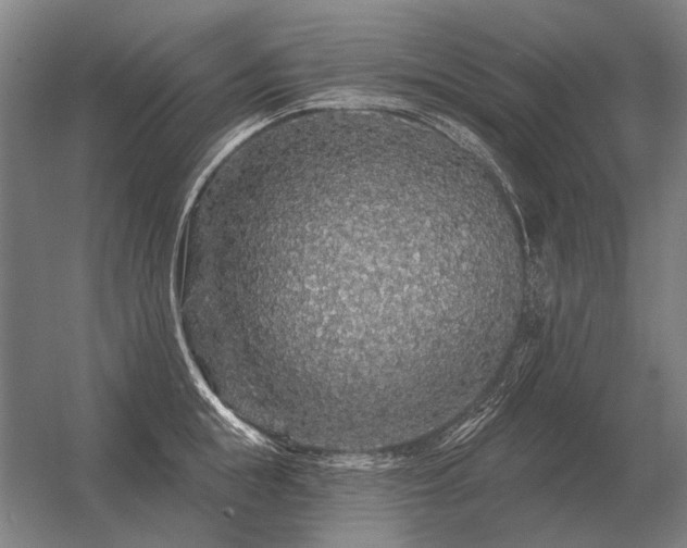 X0000056370855200509021812