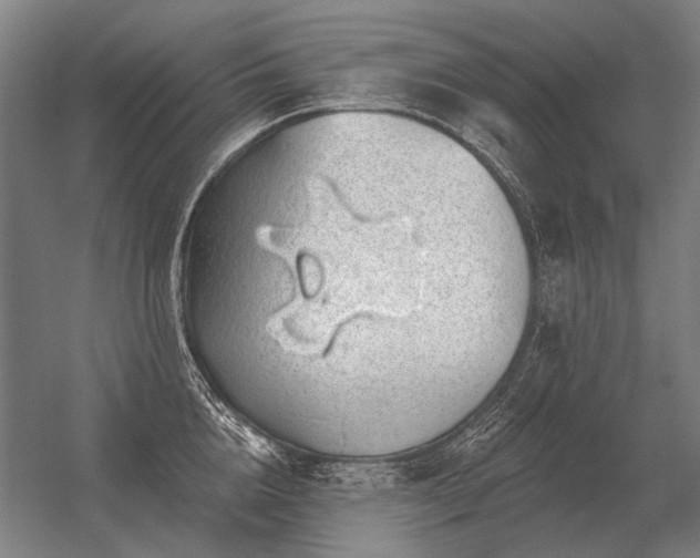 X0000056370856200509021812