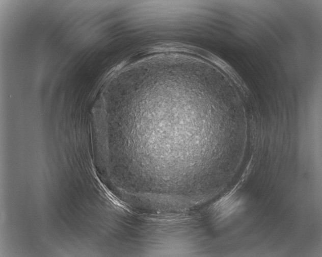 X0000056370857200509021812