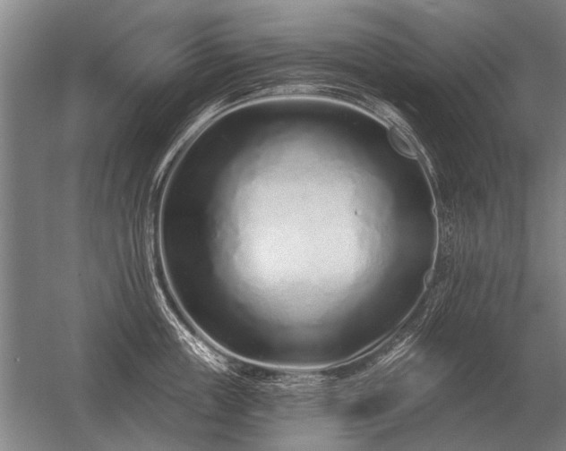 X0000056370859200509021812