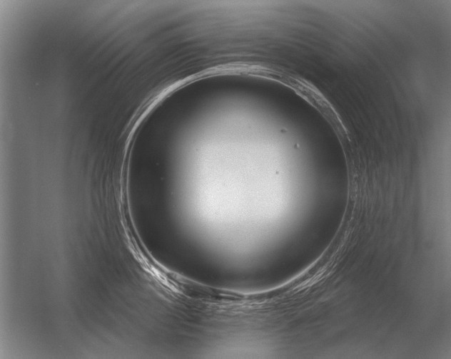 X0000056370860200509021812