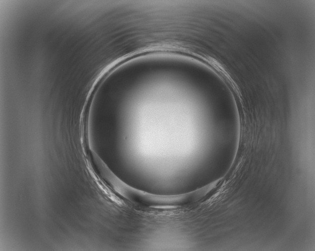 X0000056370862200509021812