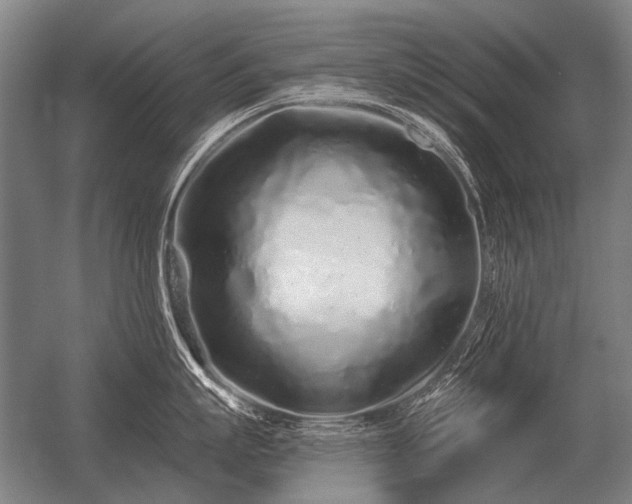 X0000056370863200509021812