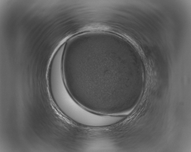 X0000056370864200509021812