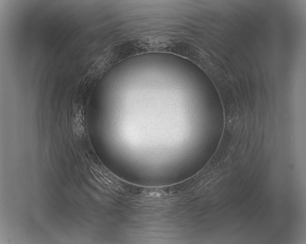 X0000056370866200509021812