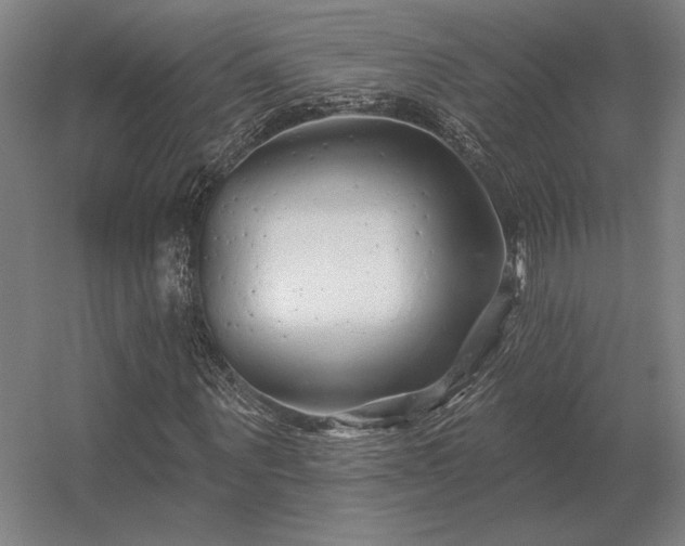 X0000056370867200509021812