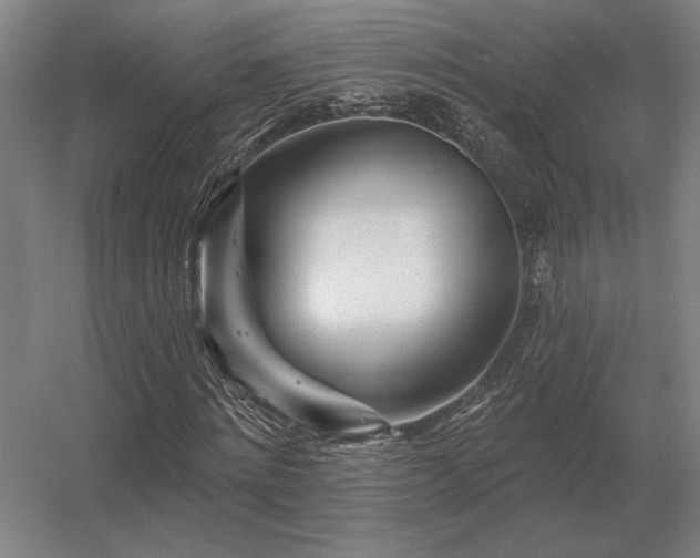 X0000056370868200509021811